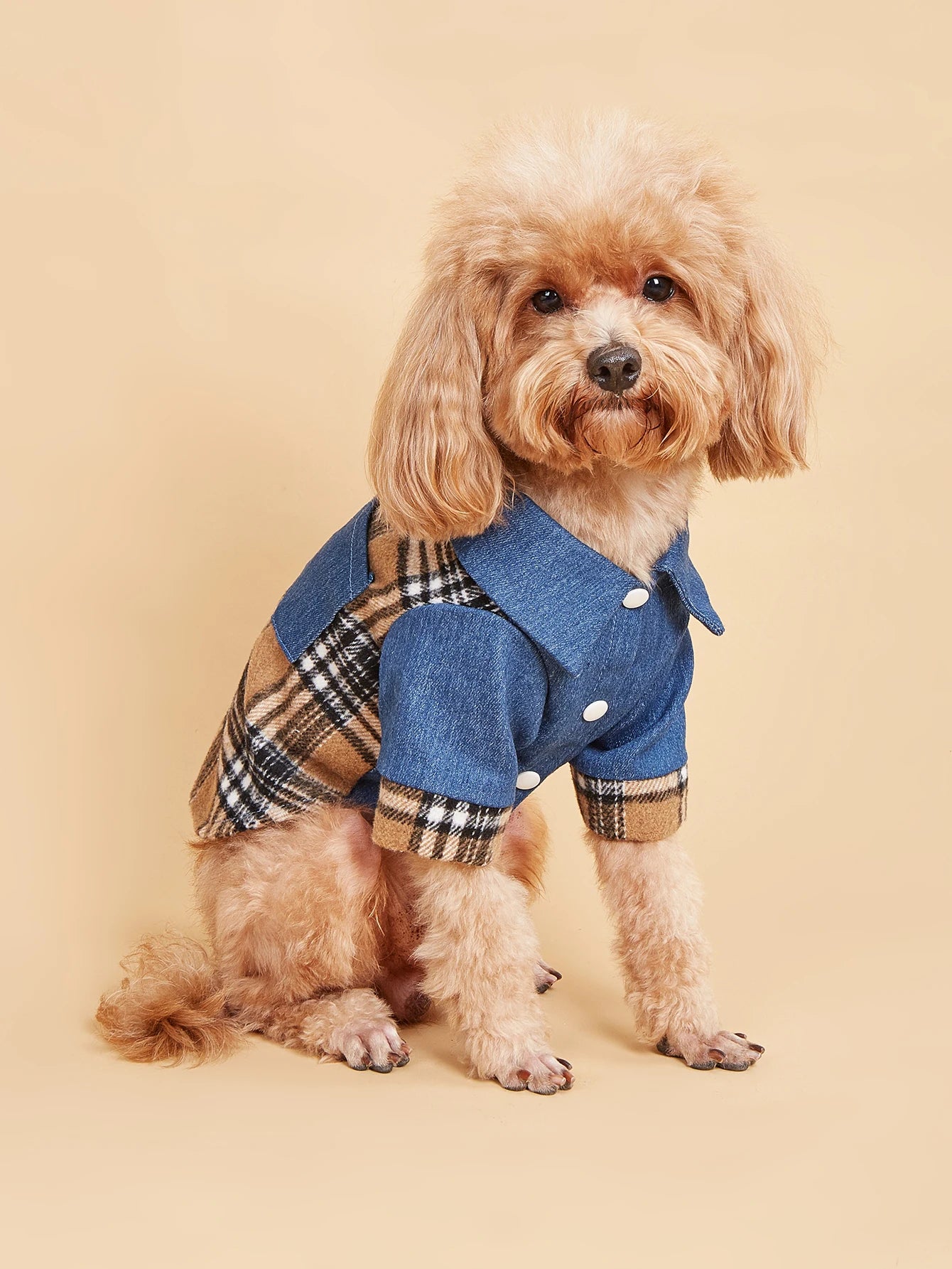 Title Plaid Denim Style Dog Clothes