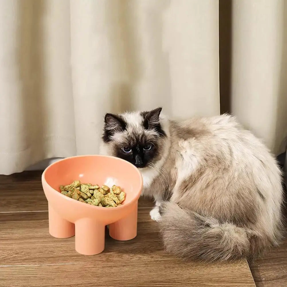Elevated Tilted Pet Feeding Bowl