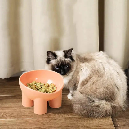 Elevated Tilted Pet Feeding Bowl