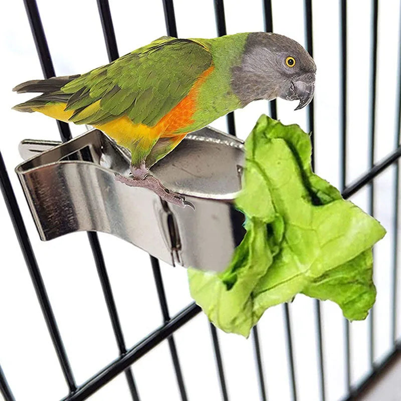 Bird Food & Cuttlebone Holder Clip
