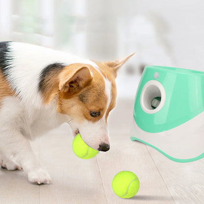 Automatic Dog Ball Launcher