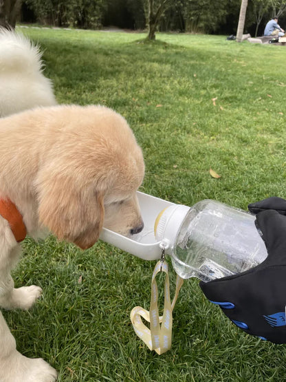 2-in-1 Portable Dog Water Bottle & Food Container