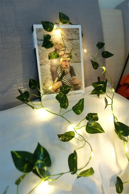 LED Vine Fairy String Lights