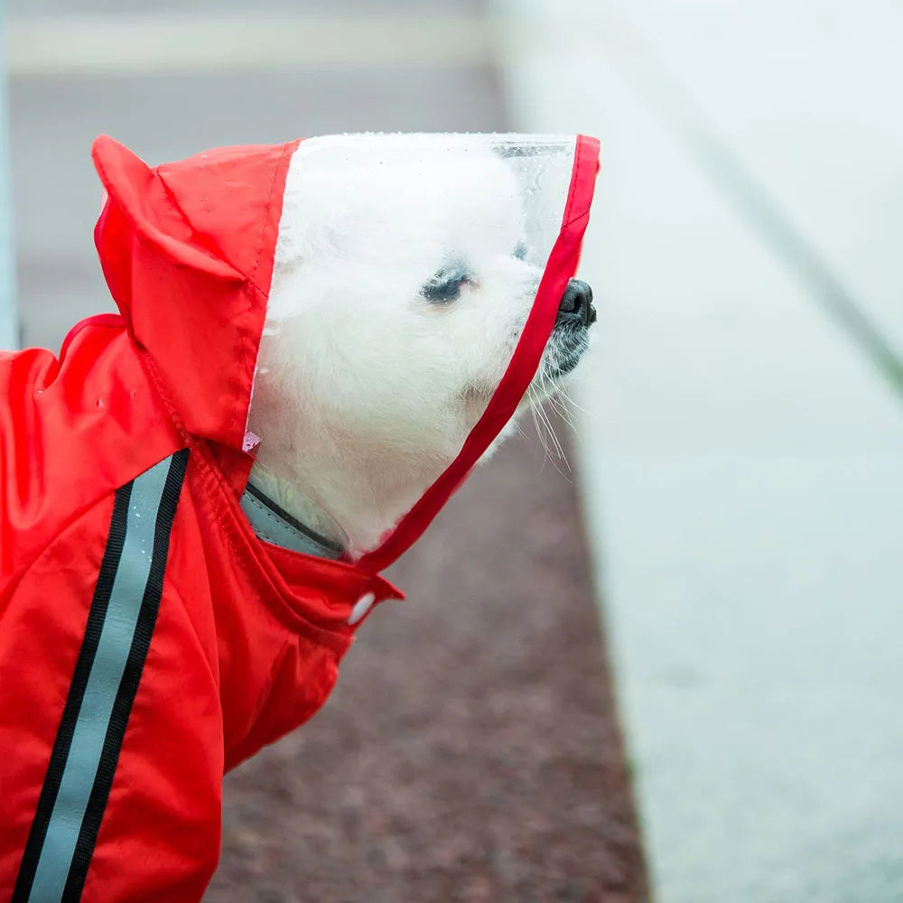 Full Coverage Hooded Rain Suit for Dogs