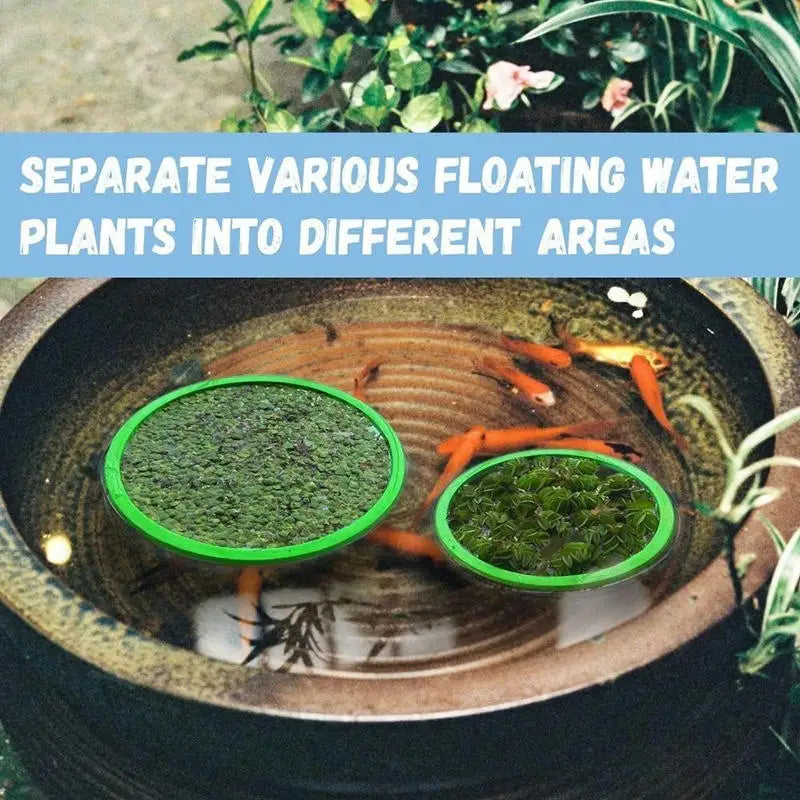 Aquarium Floating Plant & Feeding Ring Set