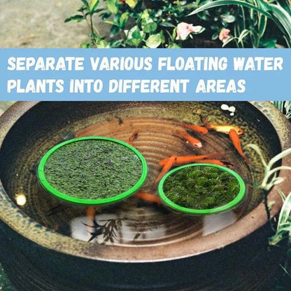 Aquarium Floating Plant & Feeding Ring Set
