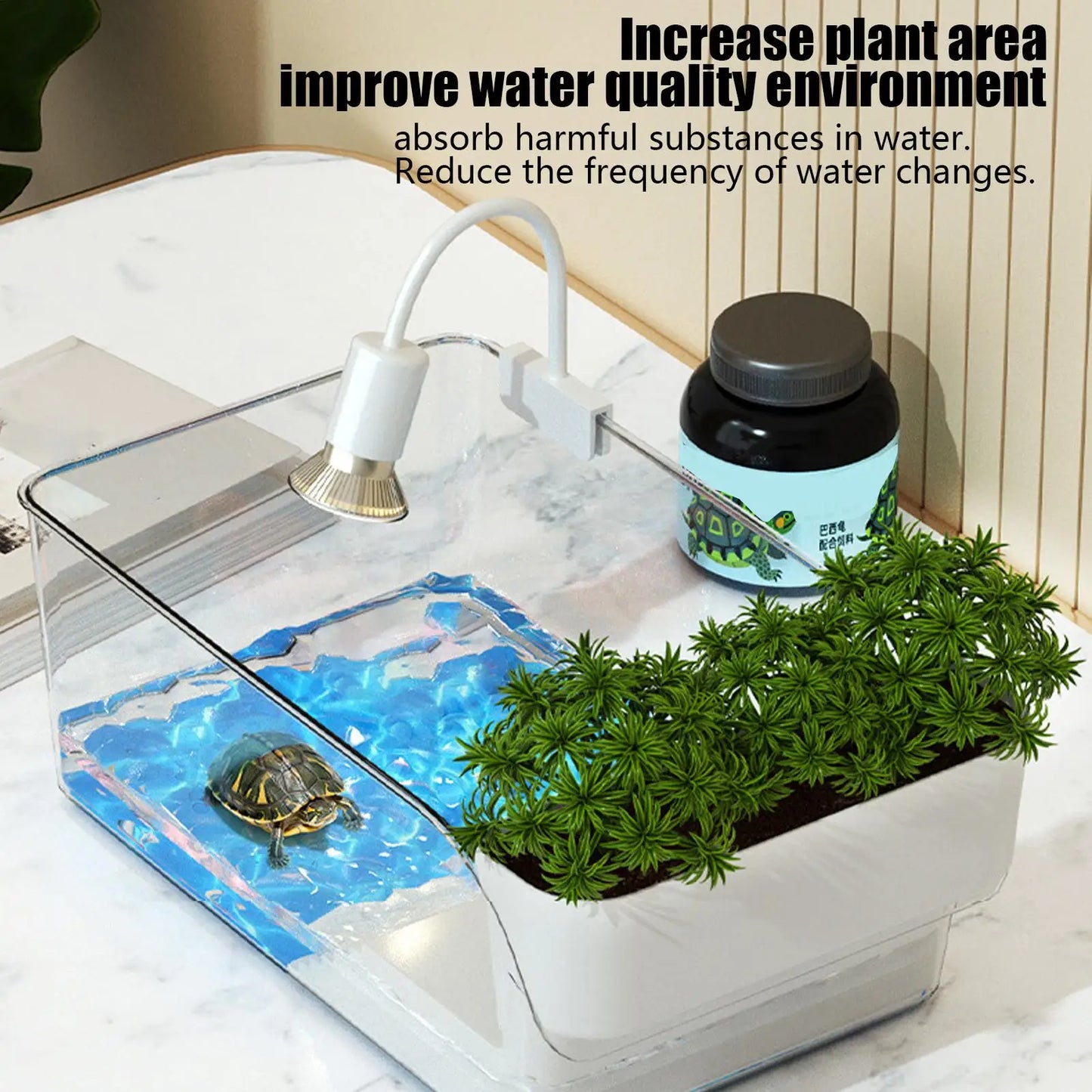 Transparent Turtle Habitat Tank