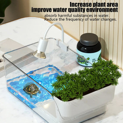 Transparent Turtle Habitat Tank