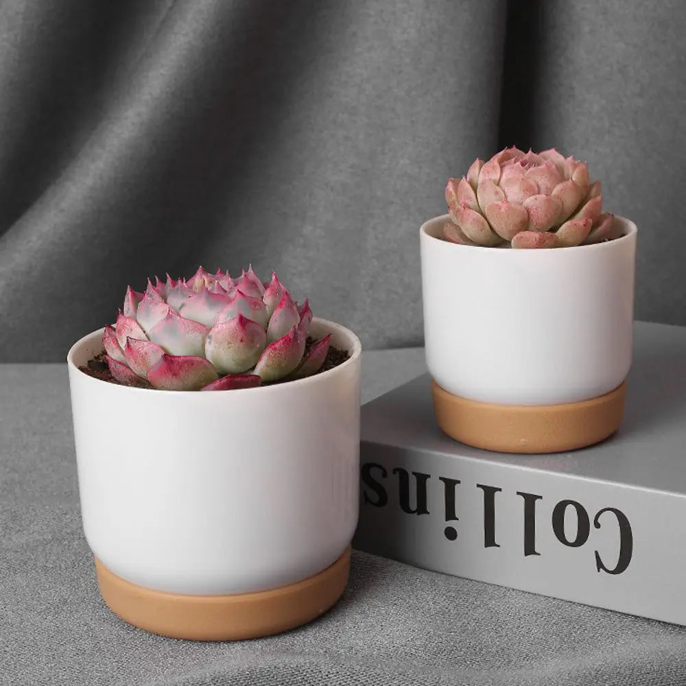 Self Watering Flowerpot