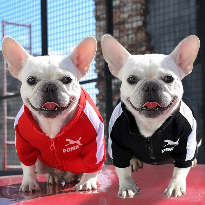 Baseball Dog Jacket – Winter Pet Hoodie for Small Dogs