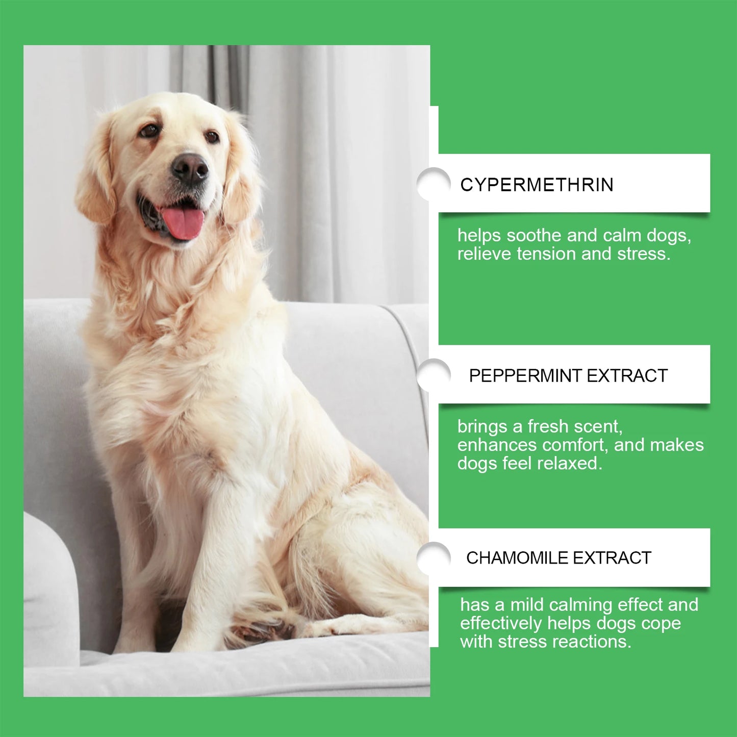 Dog Calming Diffuser Set for Home Use