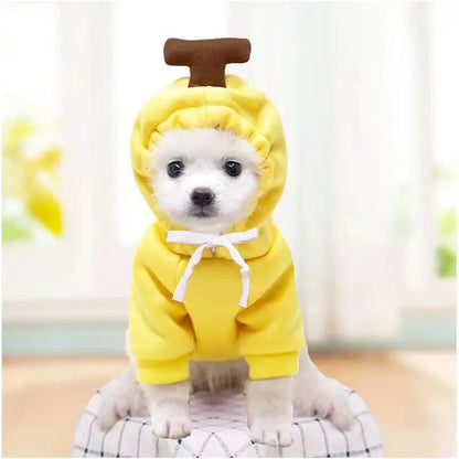 Cute Fruit Pet Hoodie Costume