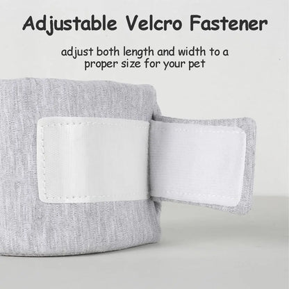 Adjustable Dog Neck Brace for Surgery Recovery