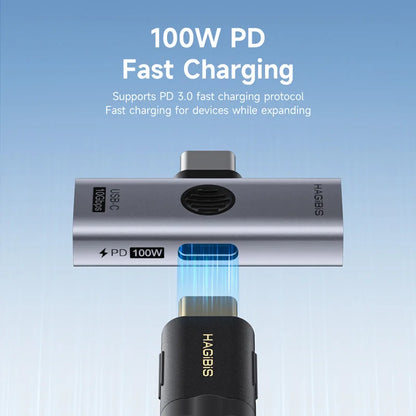 Hagibis Dual USB-C Splitter Adapter with 100W PD Charging