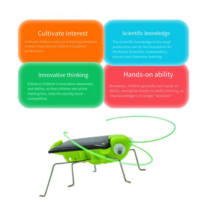 Solar Grasshopper Educational Toy