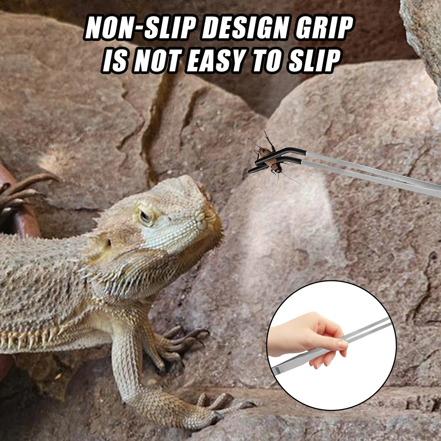Stainless Steel Reptile Feeding Tweezers Set