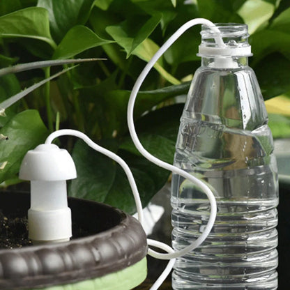 Ceramic Watering Spikes Set
