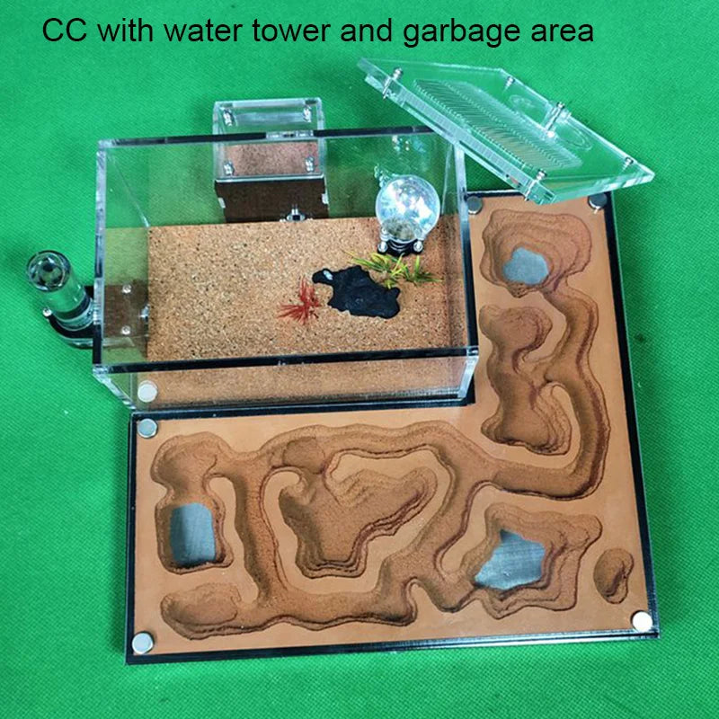 Large Acrylic Ant Farm with Gypsum Nest & Observation Arena