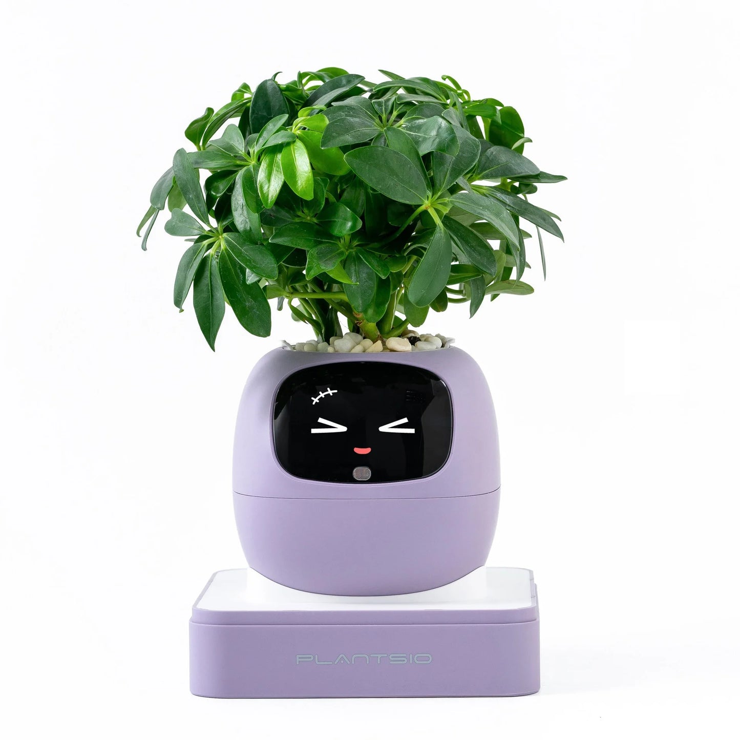 Smart AI Expression Planter