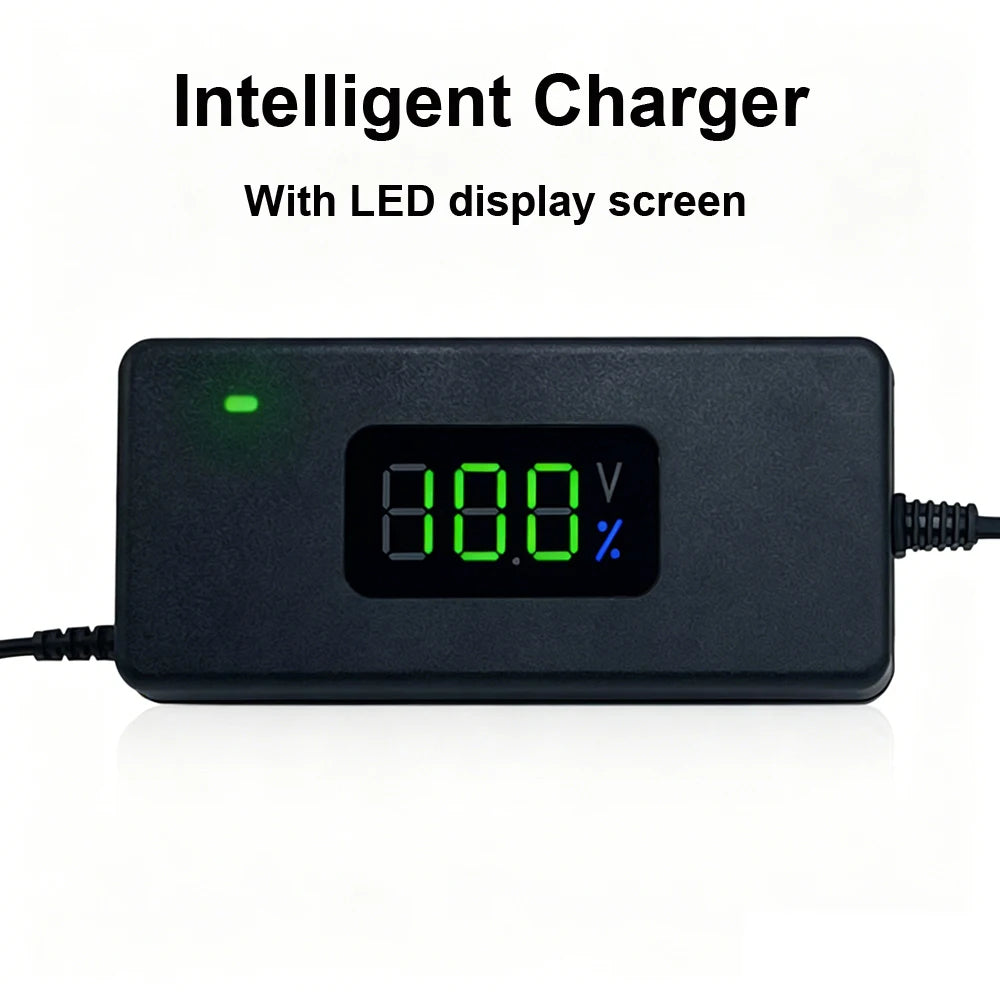 Smart Lithium Battery Charger with LED Display