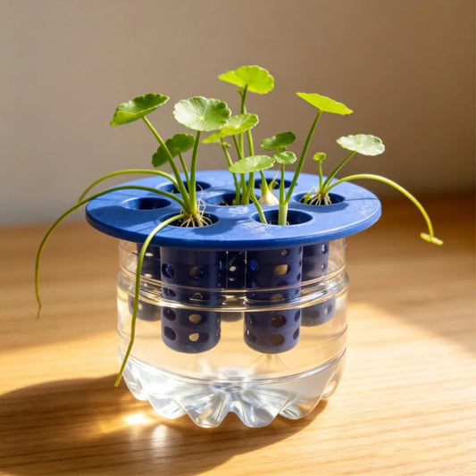 Hydroponic 7-Hole Seedling Starter Tray