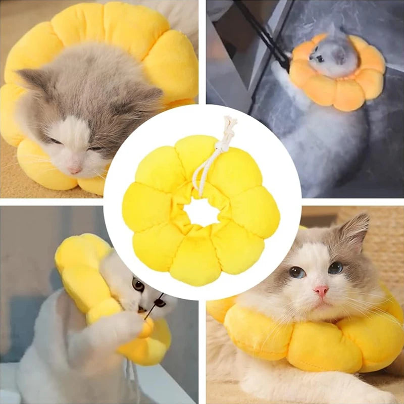 Sunflower Recovery Collar for Cats & Small Dogs