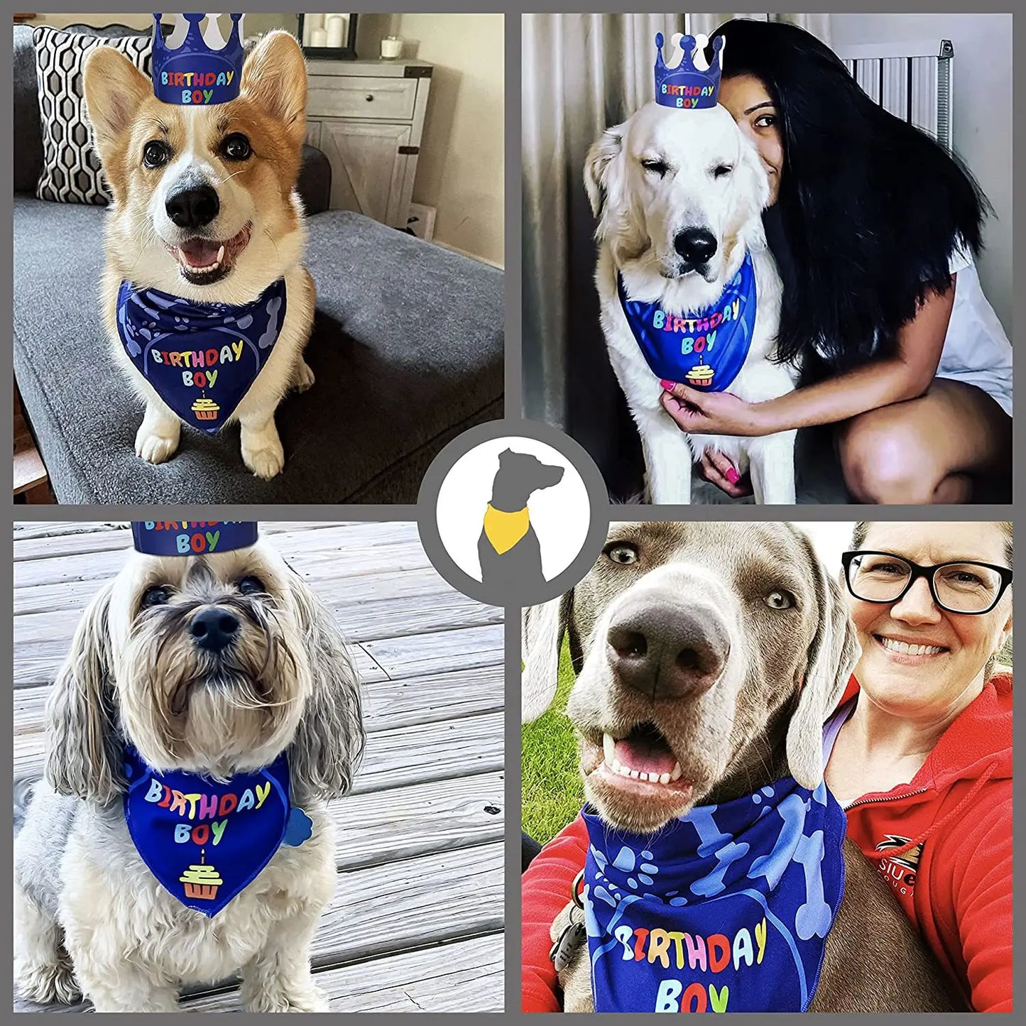 Dog Birthday Party Bandana Set