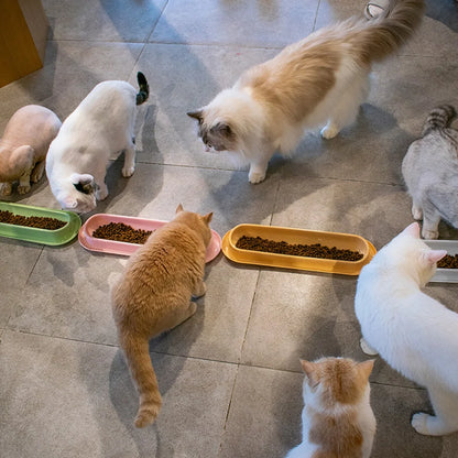 Long Multi-Cat Food Bowl with Anti-Ant Design