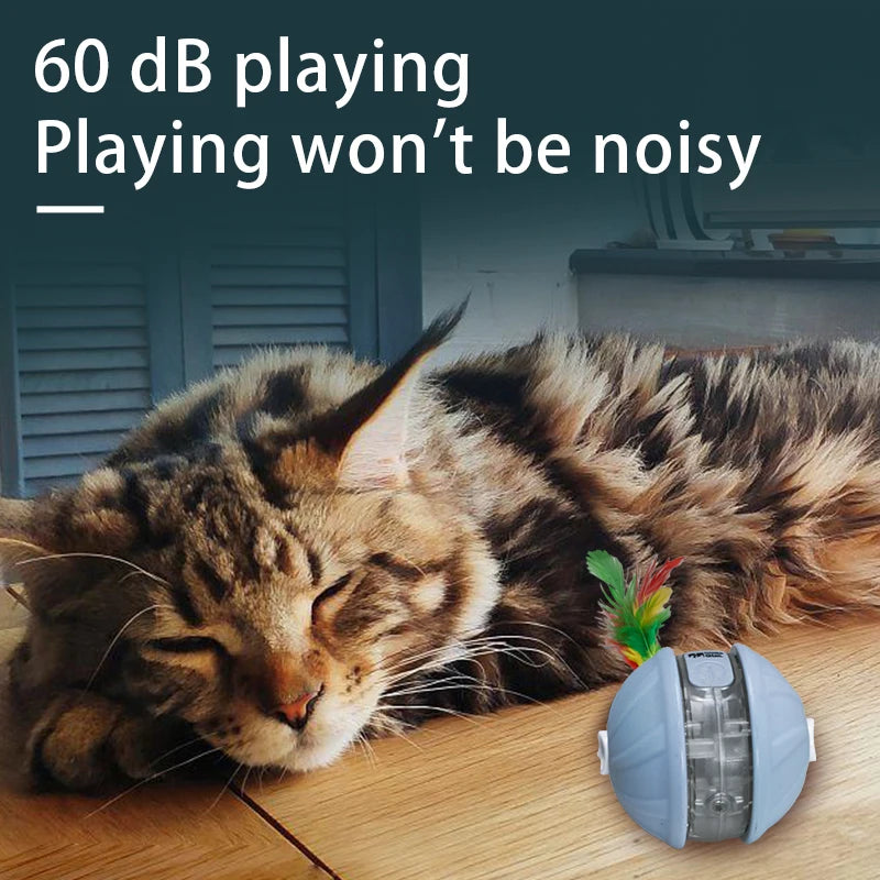 Interactive Rechargeable Rolling Pet Ball Toy