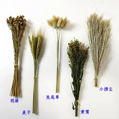 Natural Dried Flower Habitat Decor for Small Pets