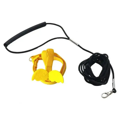 Parrot Training Harness & Anti-Bite Leash Set