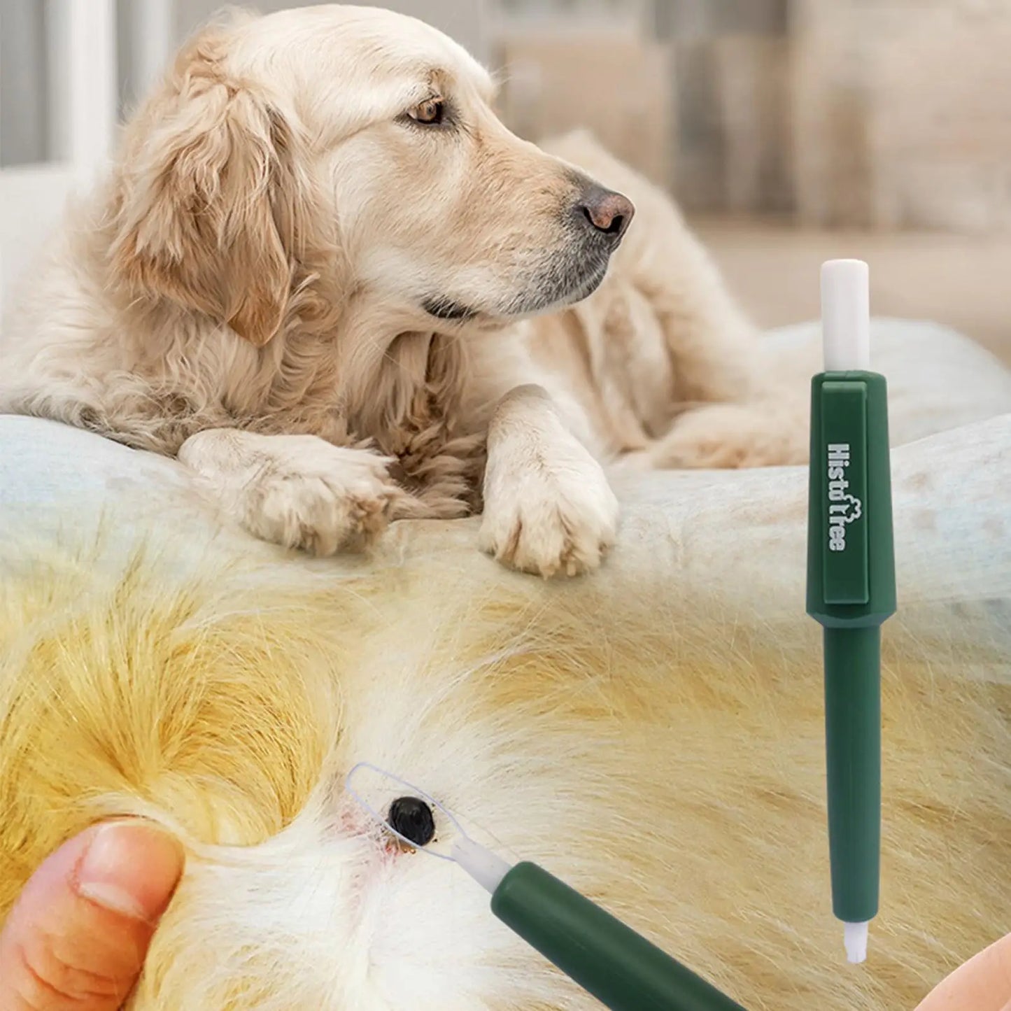 Pet Tick Remover Pen for Dogs, Cats & Humans