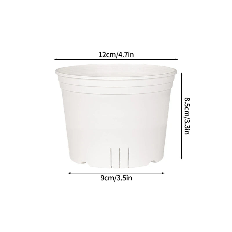 Transparent Nursery Plant Pot