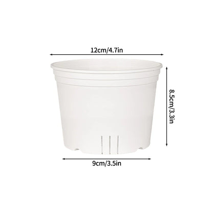 Transparent Nursery Plant Pot