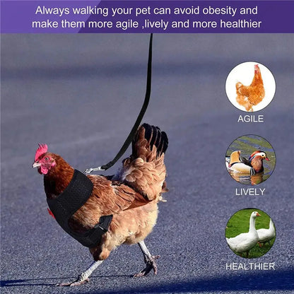 Adjustable Chicken Harness & Leash