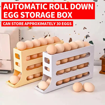 Sliding Lid Egg Storage Box