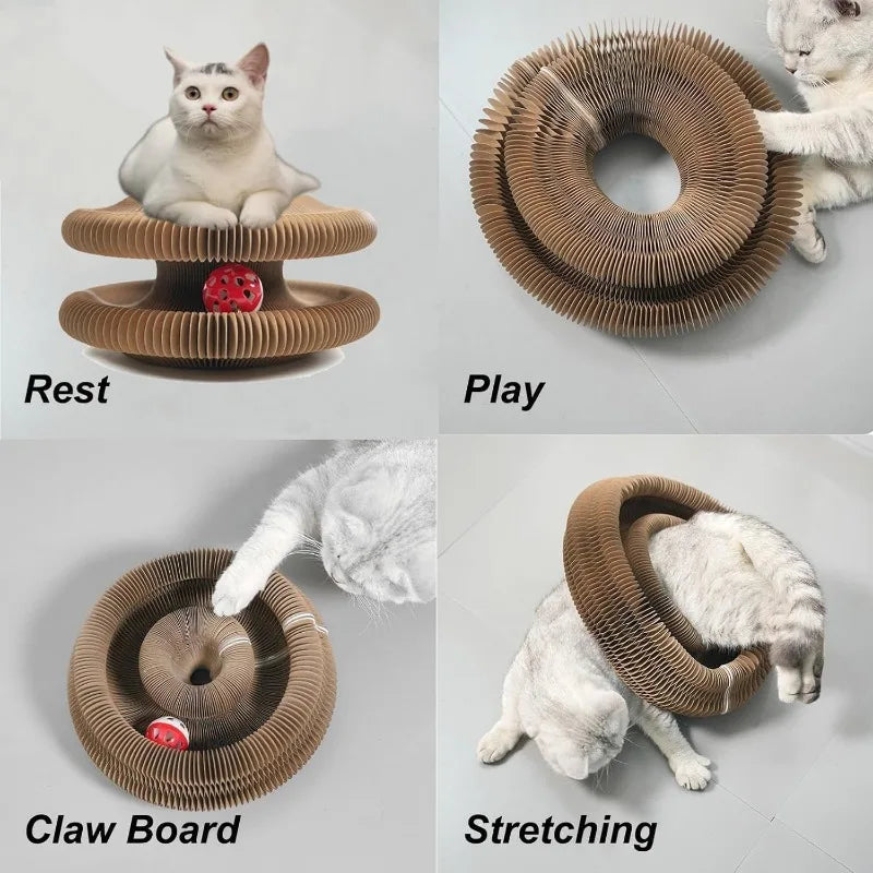 Creative Foldable Cat Scratching Board Toy