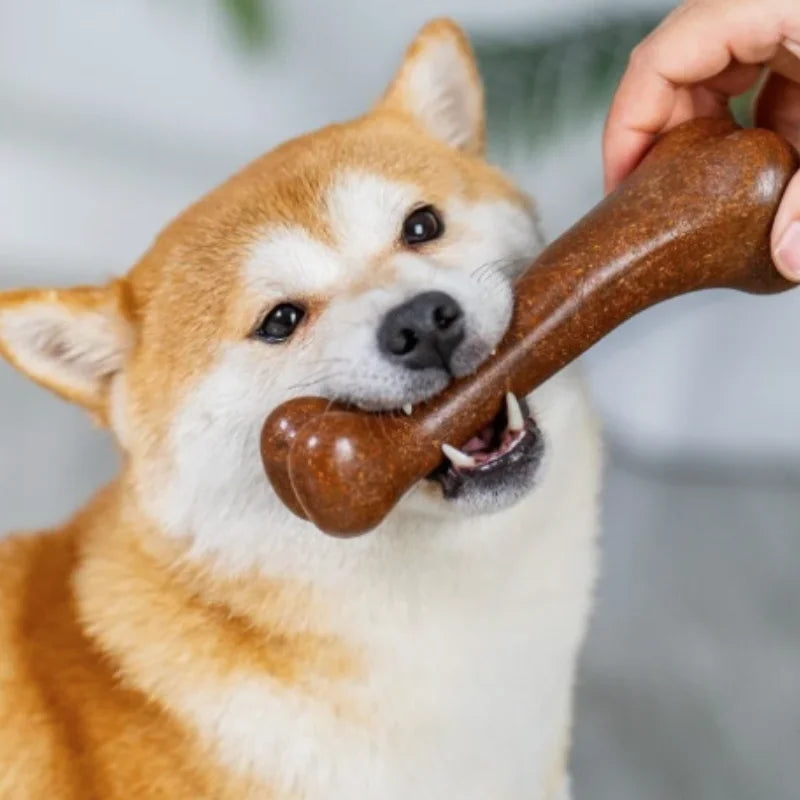Natural Dog Bone Chew Toy