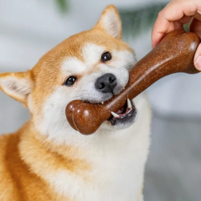 Natural Dog Bone Chew Toy