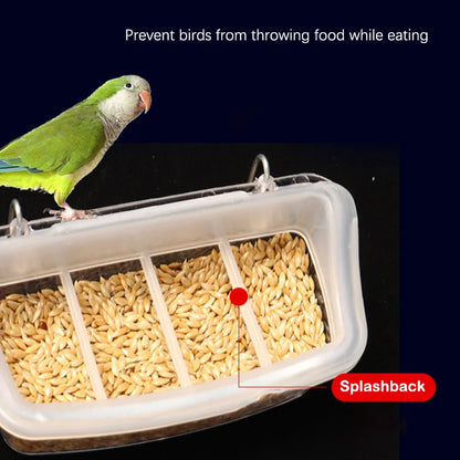 Transparent Spill-Proof Bird Feeder & Water Dispenser