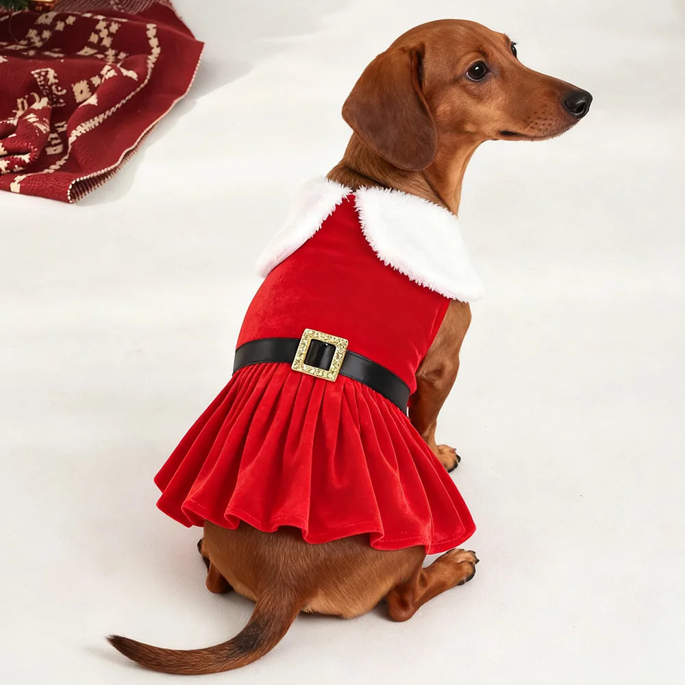 Christmas Dog Dress for Small Dogs & Cats