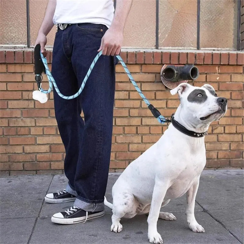 Reflective Heavy Duty Dog Leash with Padded Handle