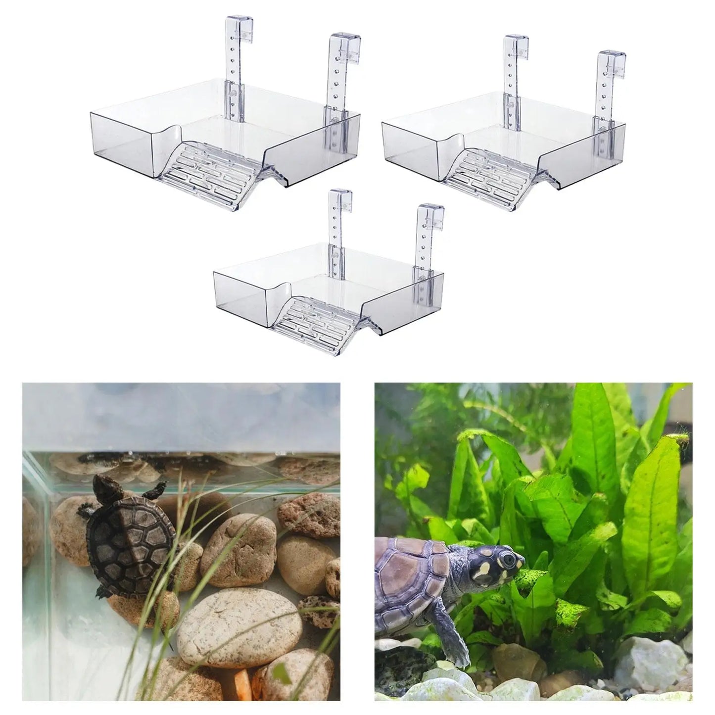 Transparent Hanging Turtle Basking Platform