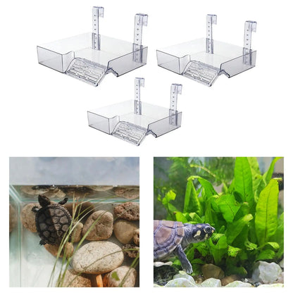 Transparent Hanging Turtle Basking Platform