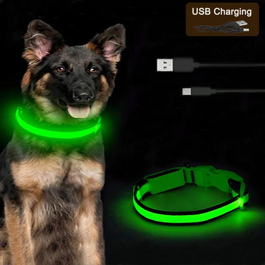 LED Luminous Dog Collar