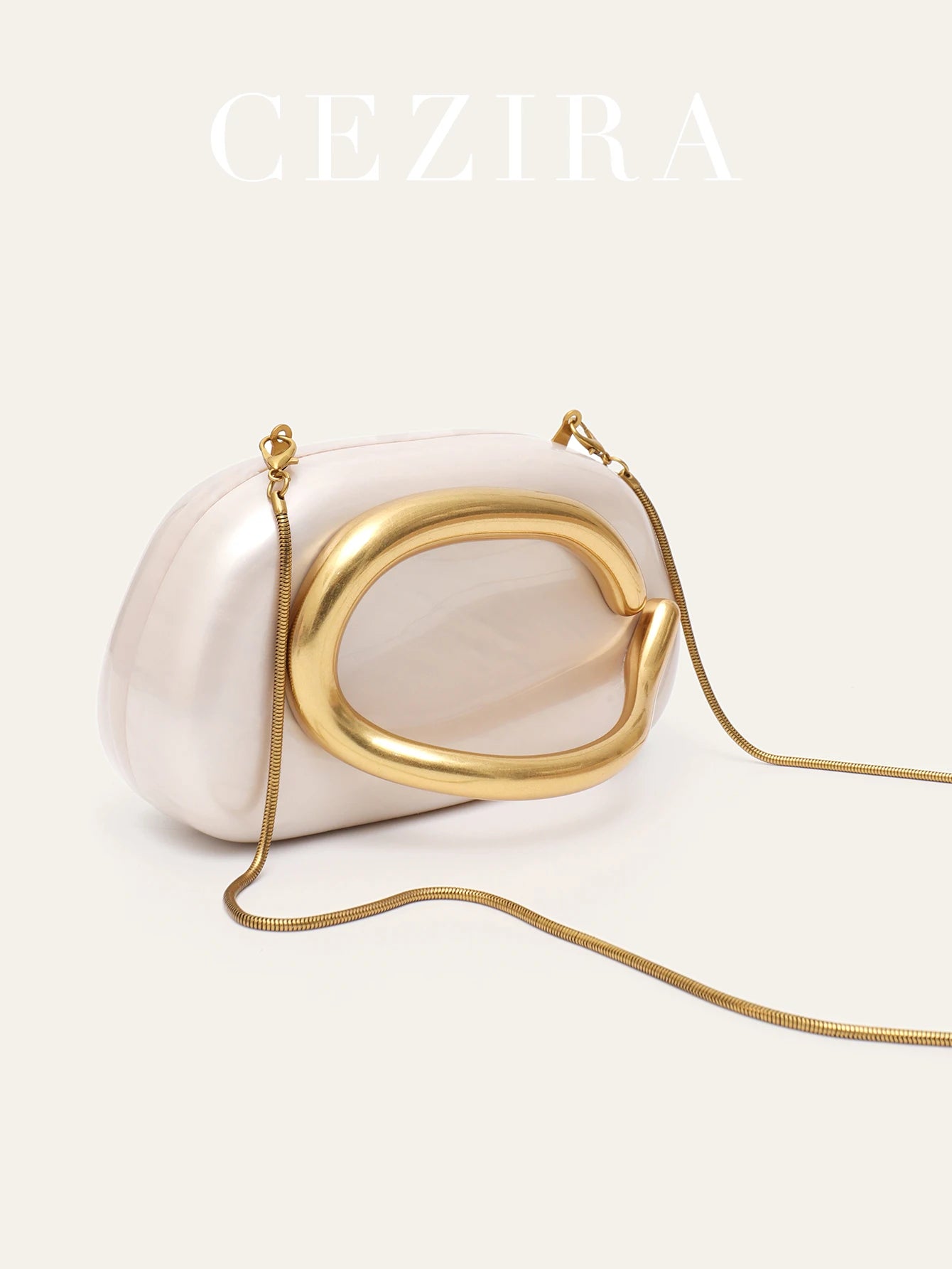 Luxury Acrylic Evening Clutch Bag