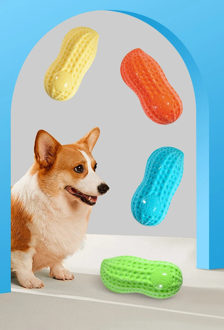 Peanut Squeaky Dog Chew Toy