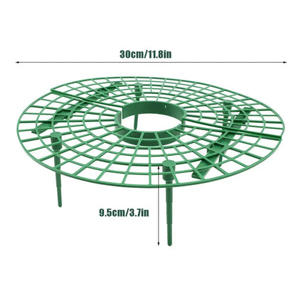 Strawberry Plant Support Frame with Fruit Protection Tray