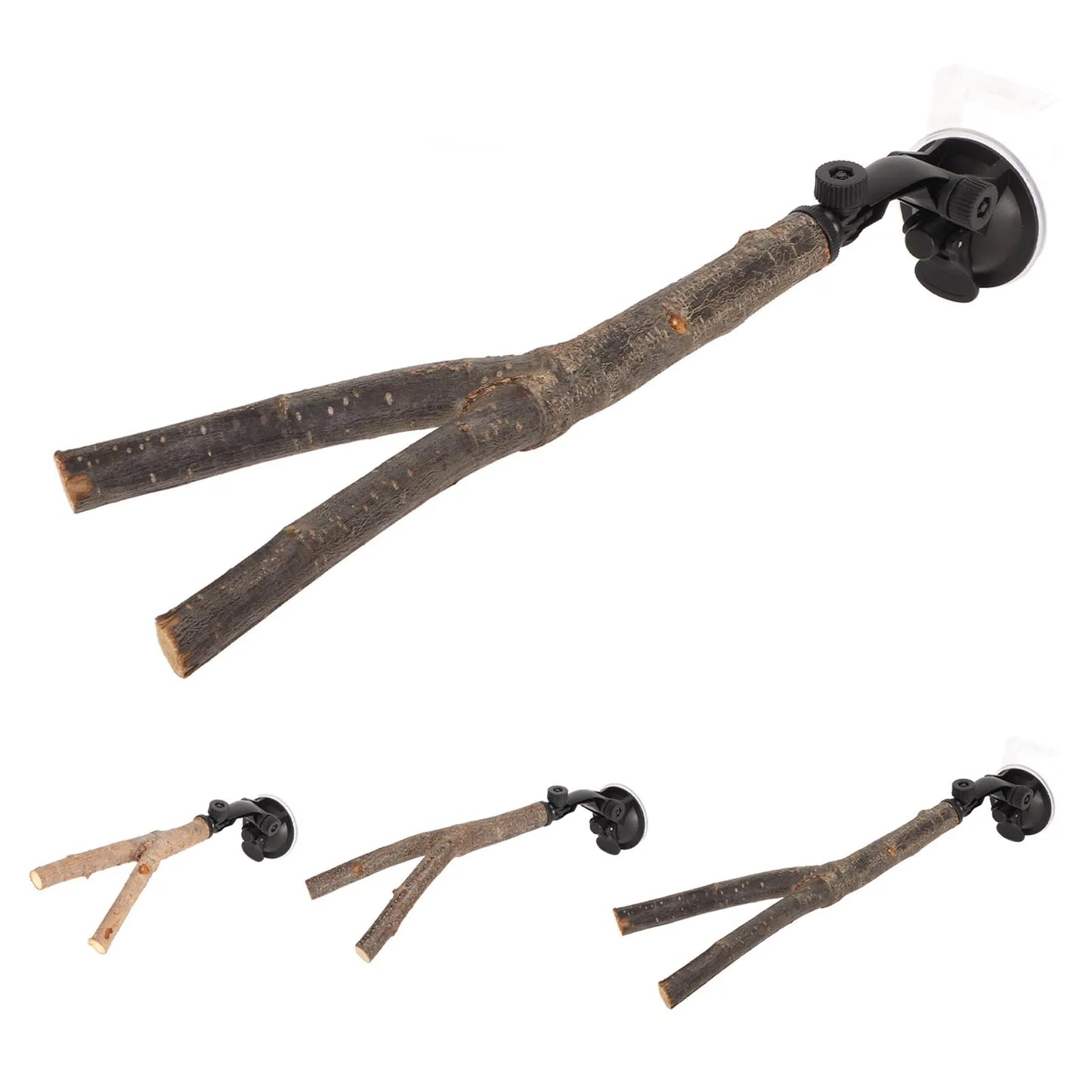 Wooden Bird Branch Perch with Suction Cup