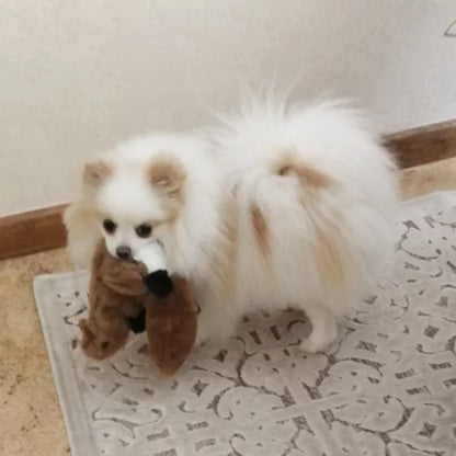 Plush Dog Chew Toy with Squeaker Animal Shape